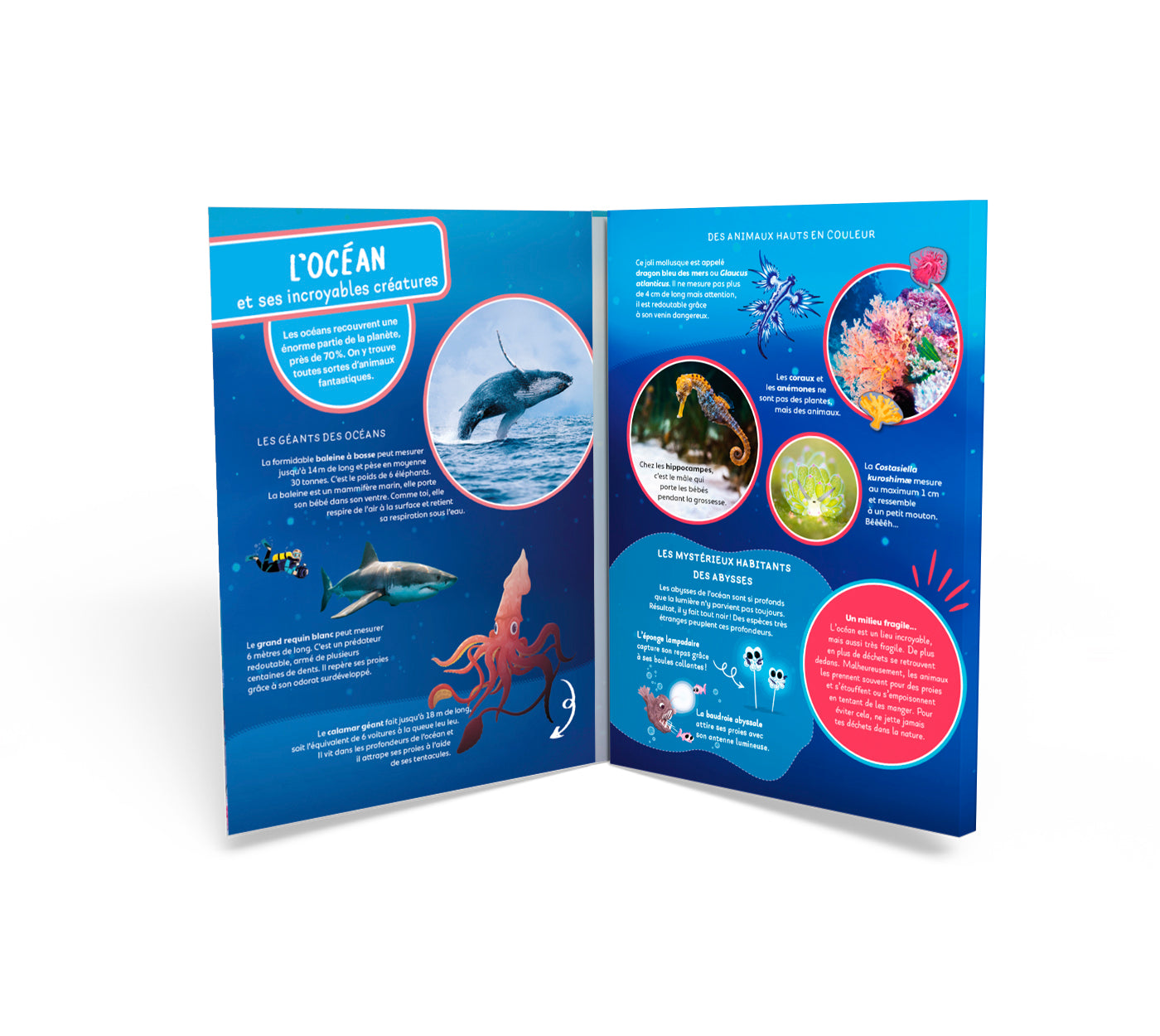 DépliMonde OCEAN
